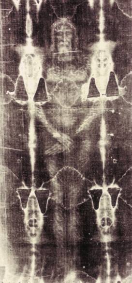 shroud of turin dna